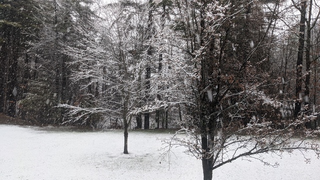 Dusting of Snow